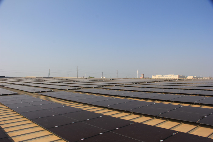 91视频APP向日葵视频-《2020计划》男足进东京奥运会 明确国字号任务(图1) 91视频APP向日葵视频